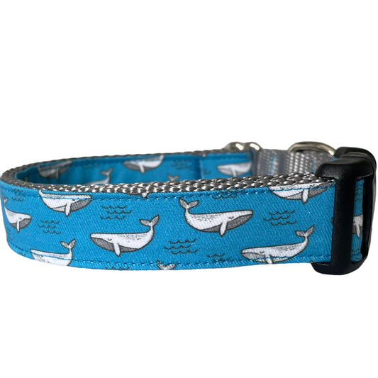 Whale Dog Collar - Sew Fetch Dog Company