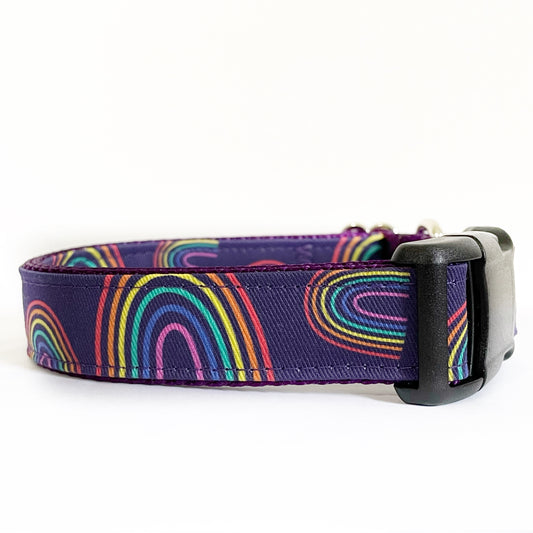Randy Rainbow Dog Collar - Sew Fetch Dog Company