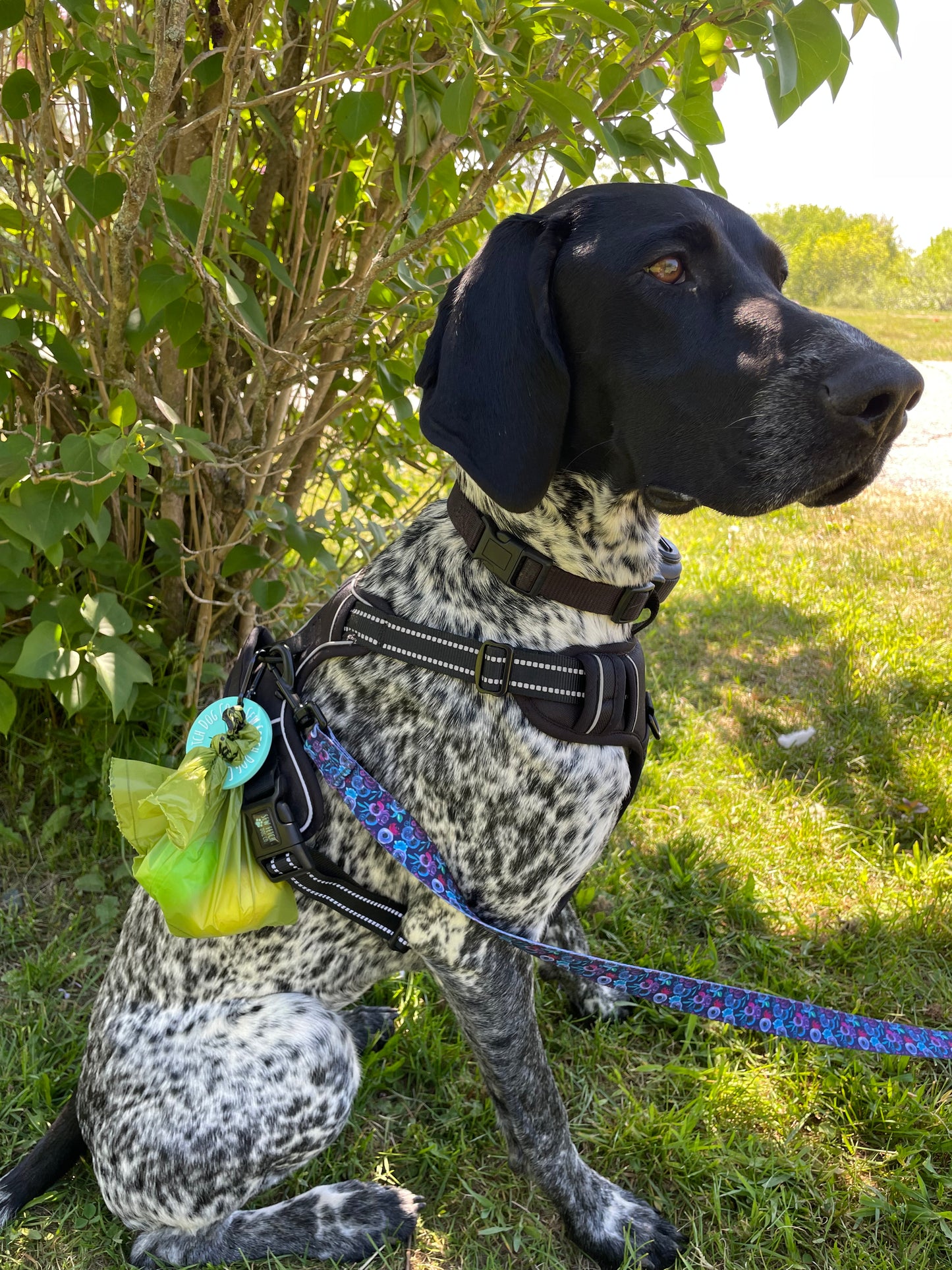 Poo Bag Carrier Disk - Sew Fetch Dog Company