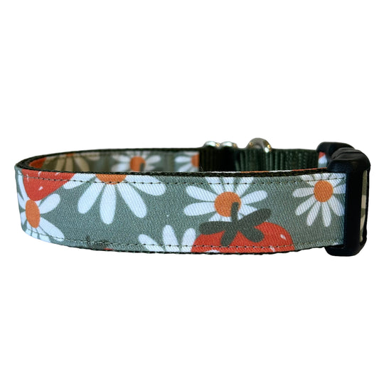 Strawberries and Daisy Collar - Sew Fetch Dog Company