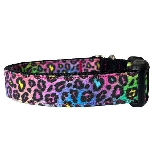 Neon Cheetah Dog Collar - Sew Fetch Dog Company