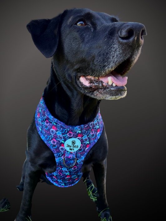 Sew Fetch Dog Co. – Maine Made